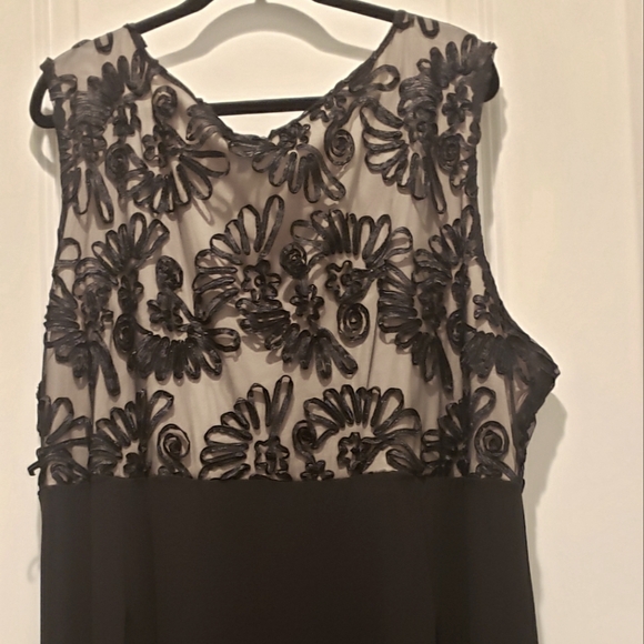 Black and Beige Sheer Embroidery Dress - Picture 6 of 9